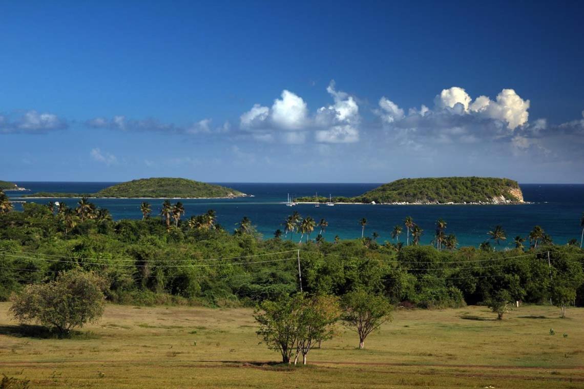 Hacienda Tamarindo Hotel Векес Екстериор снимка